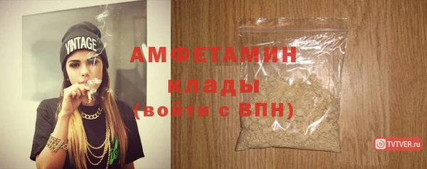 прущие грибы Нея