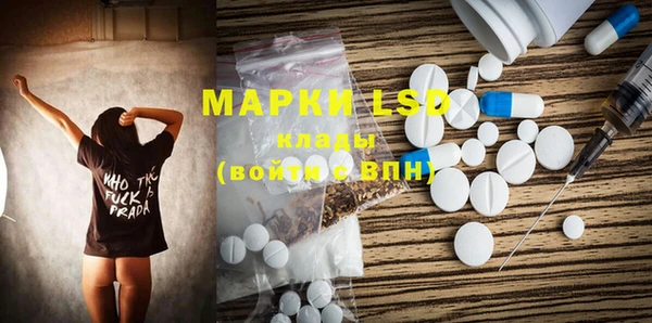прущие грибы Нея