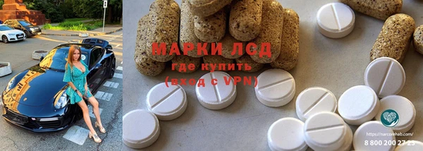 прущие грибы Нея