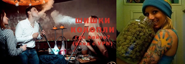 прущие грибы Нея