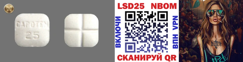 дарнет шоп  Шенкурск  ЛСД экстази кислота 