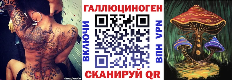 купить   Шенкурск  Псилоцибиновые грибы Magic Shrooms 