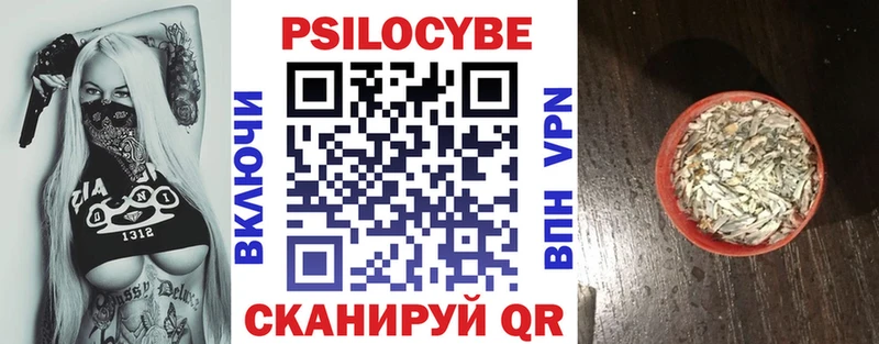 Псилоцибиновые грибы Cubensis Шенкурск